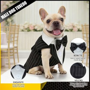 pet wedding clothing, male dog formal wear, tailcoat, pet spring/summer clothes, dog bow tie suits