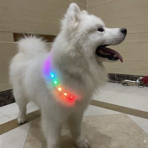 Cross-border large dog pet collar, neck collar, dog leash charging, safety collar with cut-out luminous adjustable dog collar