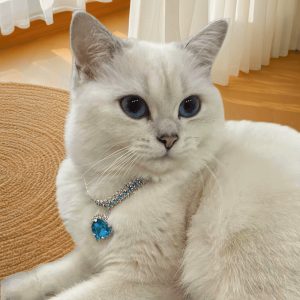Three-row colorful rhinestone necklace, pet collar accessory, cat and dog accessories, red, blue, pastel, crystal, heart pendant